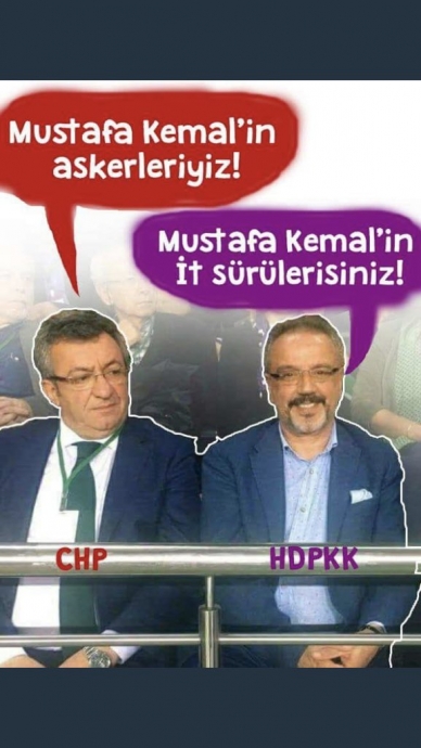 atatürkün askerleri it sürüleri diyen vekil