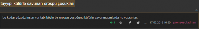 recep tayyip erdoğan a küfür eden sözlük yazarı