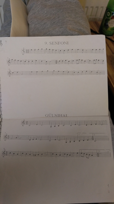 tek başına gitar öğrenmek