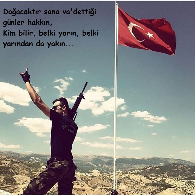 türkiye nin kurt yalnızlığı