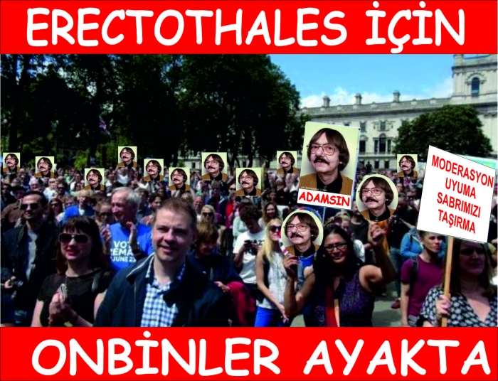 erectothales ya gelecek ya gelecek başka yolu yok