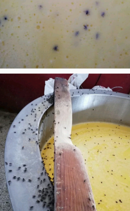 yediğimiz kaşarların aslında kaşar olmaması