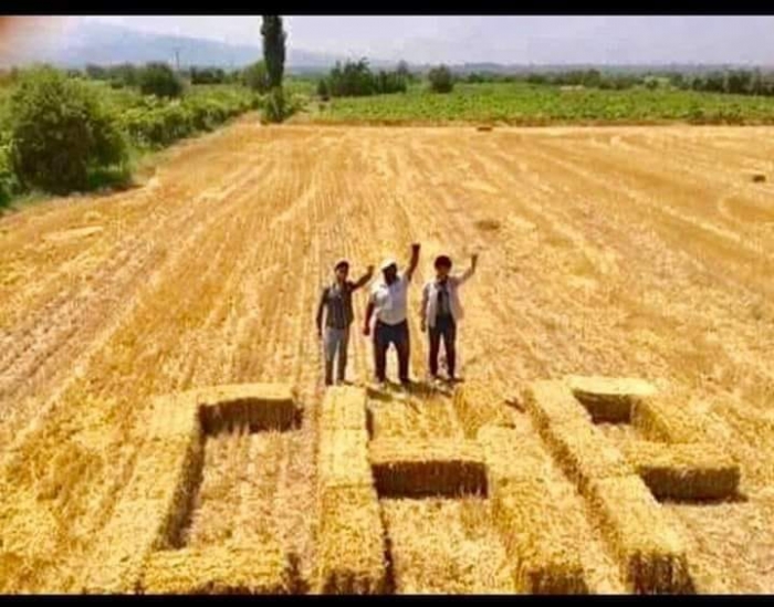 tarlada saman balyalarıyla chp yazan çiftçiler