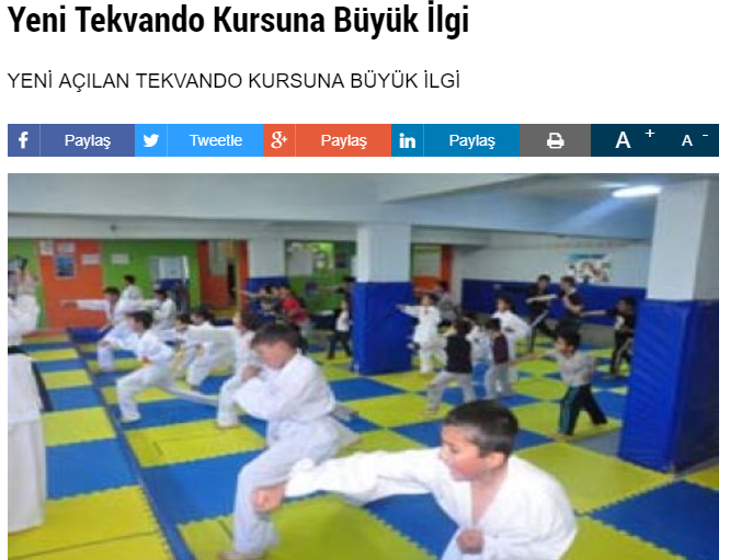 türkiye de tekvandoya ilginin giderek artması