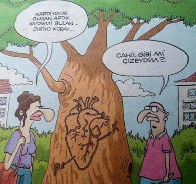 kızların cinsel başlıklara hiç yazmaması