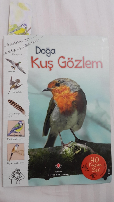 doğa kuş gözlem