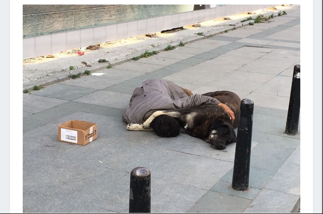 anın görüntüsü