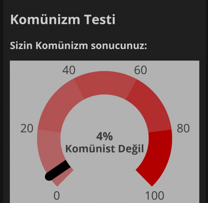 ne kadar komünistsiniz testi