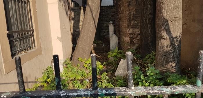 haliç teki tarihi mezarlıkların bakımsızlığı