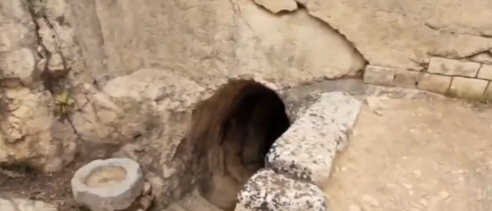 nemrut dağındaki aslan rölyefi