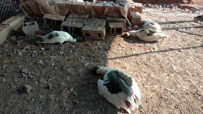 antalya daki çiftlik kredisi katliamı