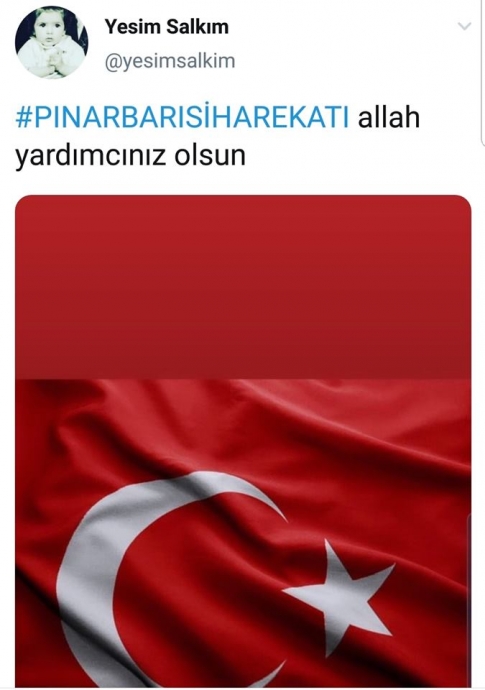 yeşim salkım ın pınarbaşı harekatı tweeti