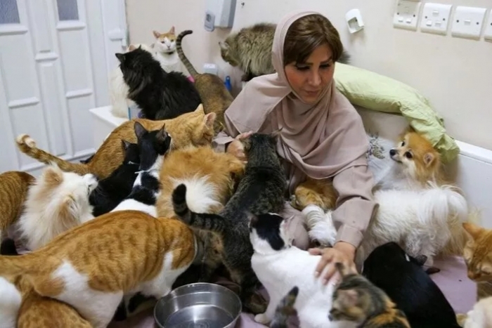 evinde 480 kedi ve 12 köpeğe bakıcılık yapan kadın