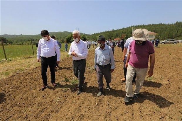 muğladaki 1 milyon şişe kapasiteli şarap fabrikası