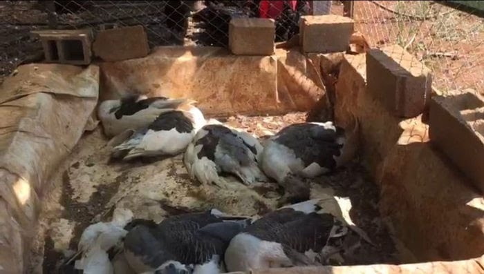 antalya daki çiftlik kredisi katliamı