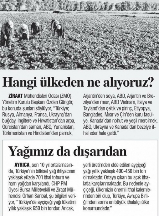 çorum leblebisi için kanada dan nohut ithal etmek