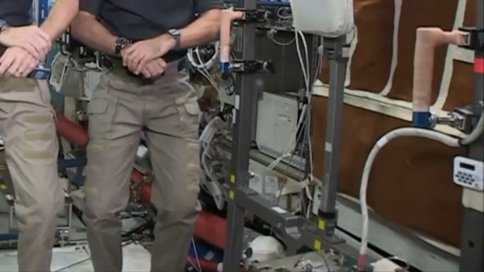 nasa aya kelebek yolladı