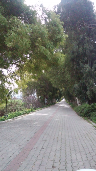 anın görüntüsü