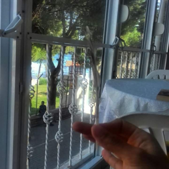 denizde tüy bulmak