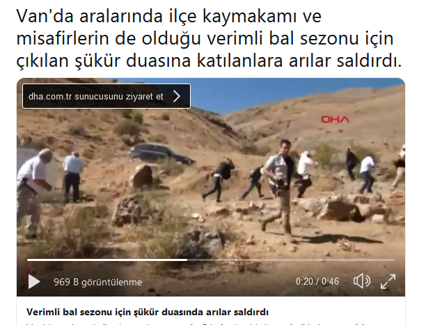 şükür duasına çıkan müftüye arıların saldırması
