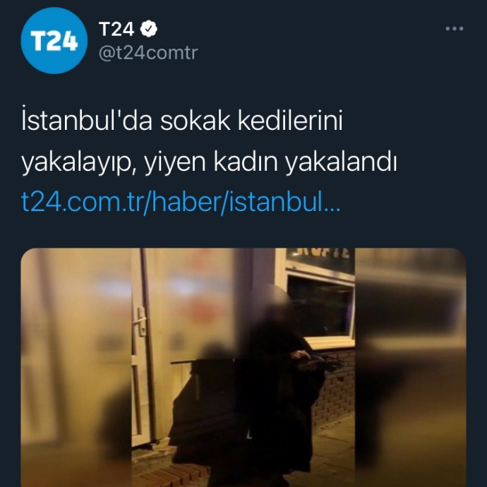 sokak kedilerini yakalayıp yiyen kadın