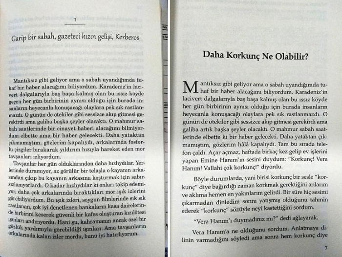 nurşen karayanız