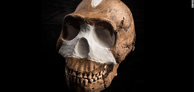 Yeni Bulunan İnsan Türü: Homo Naledi İle İlgili Fırından Yeni Çıkmış 11 Sıcak Bilgi