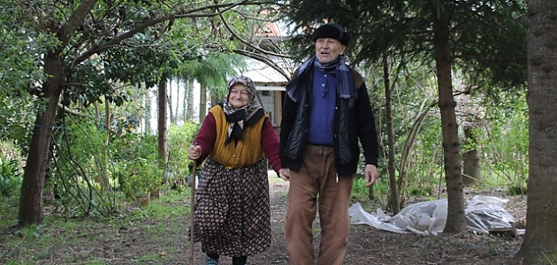 Ana Kuzusu musunuz Yoksa Babanızın Oğlu mu? Testi Çözün ve Öğrenin