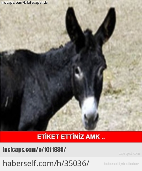 Balıkesir'in Çılgın Eşekleriyle İlgili Yapılmış Birbirinden Komik 17 Caps