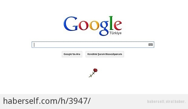 Google Doodle’ları Hakkında Bilinmeyen 7 Gerçek
