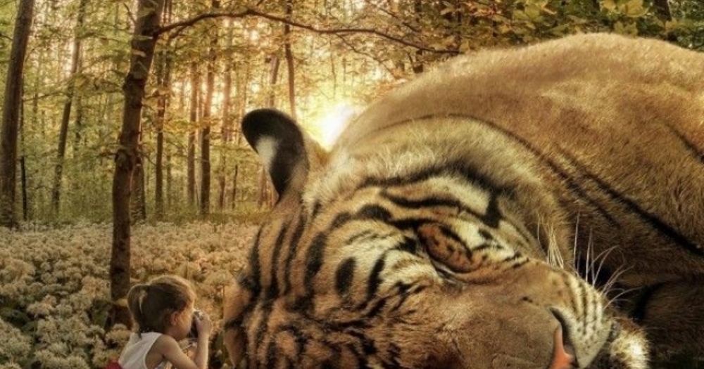 Çocukların Hayallerini Fotoğraflayan Marcel Van Luit'den Görülmeye Değer 21 Kare
