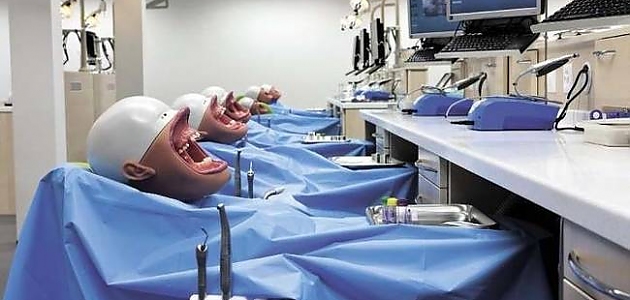 Diş Hekimlerinin Öğrencilikleri Sırasında Eğitim İçin Kullandıkları Birbirinden Ürkütücü 15 Model