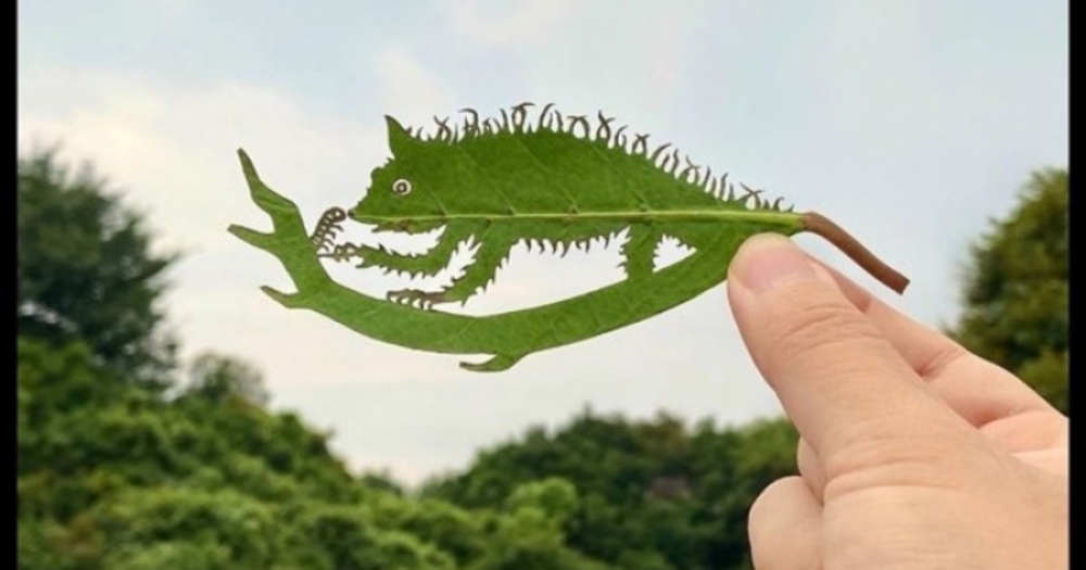 Yaprakları Birer Sanat Eserine Çeviren Japon Sanatçı