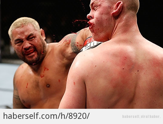 MMA (Karma Dövüş Sanatları) Sporcularının Maçlardan Sonraki Hallerinden 11 Korkutucu Kare
