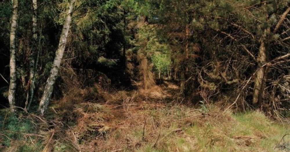 Fotoğraftaki Sniper'i Görebilecek misiniz?