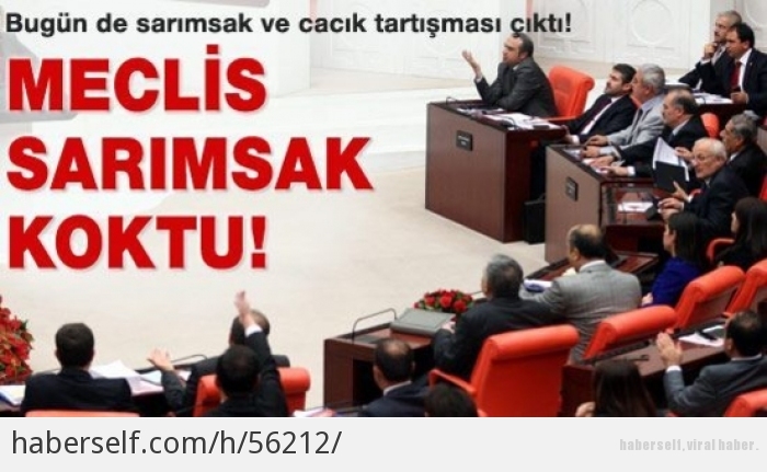 Mecliste soğan sarımsak vb şov görüntüleri var
