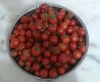 çeri domates