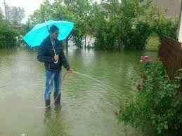 napıyo bu saftirik