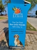 sokak köpeklerini besleyin sadece 1 euro / #2248989