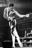 freddie mercury dünyanın en iyi vokalidir / #1458759