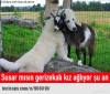 sözlüğü bırakıyorum kendinize iyi bakın / #1324386