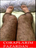 sözlük hanımlarının bacakları
