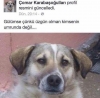 gecenin fotoğrafı