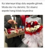 kız istemeye kitap dolu sepetle gitmek / #2137199