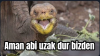 sarımsaklı yoğurt yiyebilen erkek / #2348540