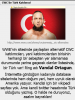 wwe şirketinde bir tür / #1114725