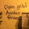 yazarların hayatını özetleyen duvar yazıları / #1366874