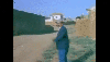 köpek kovaladığında atılan depar / #1753575