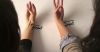 palmaris longus / #1495150