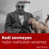 amına kodumun kedileri / #1617411